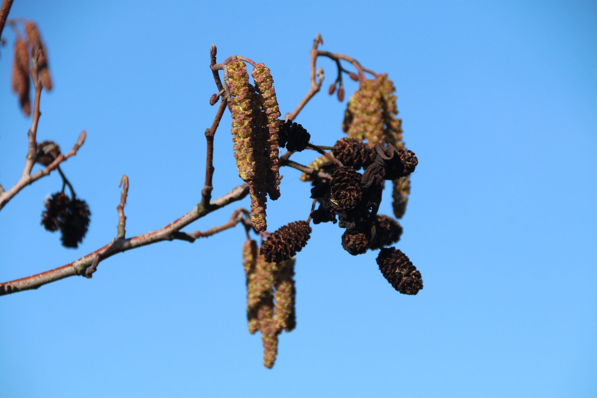 Foto: 486169759_9294265690609845_996289568420147795_n.jpg