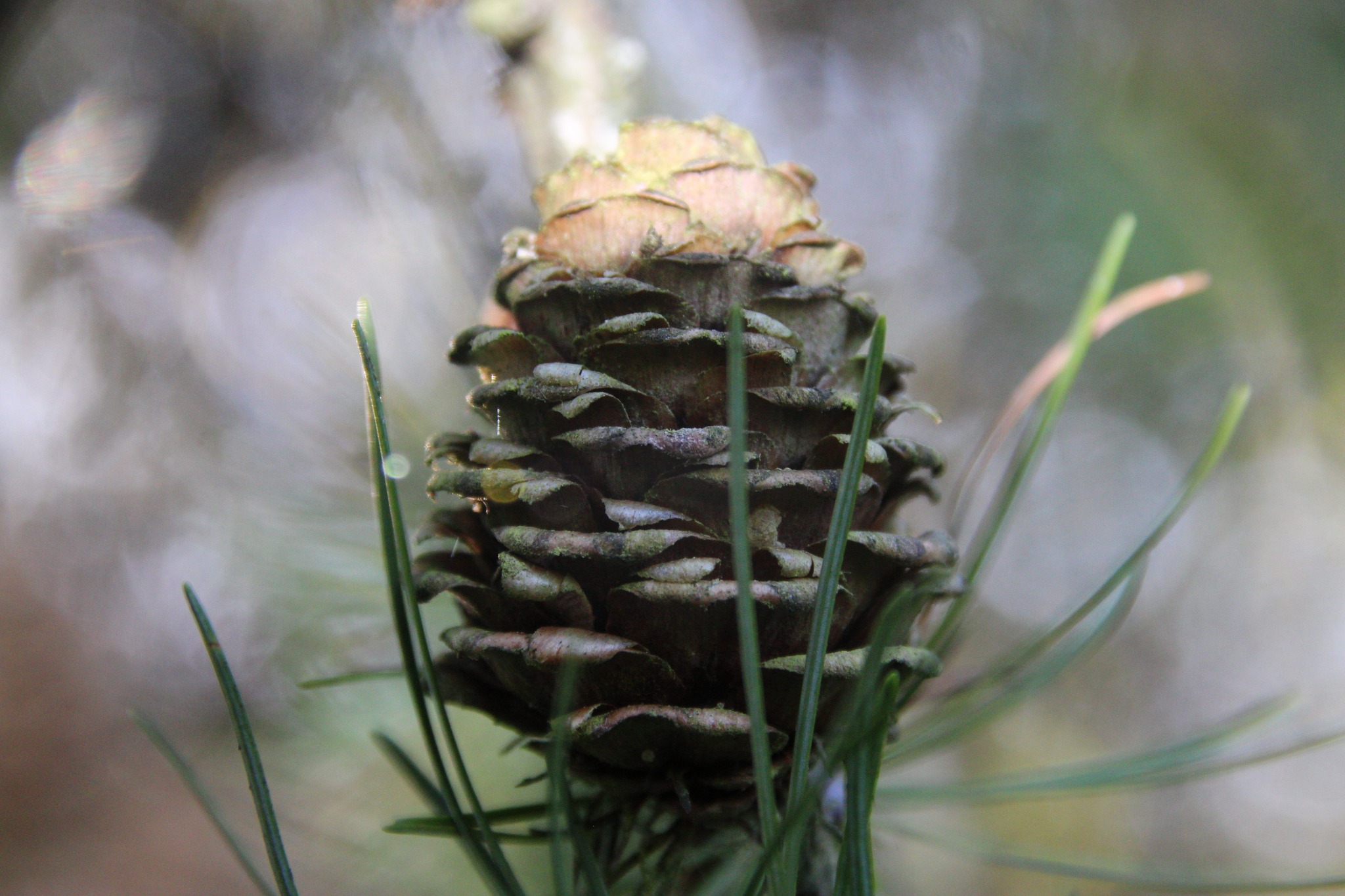 Foto: 568736817_24726337860309378_152116186916591122_n.jpg